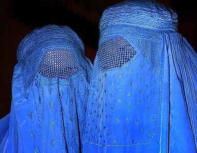 Miniatura: Francja już karze za burki