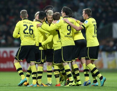Miniatura: Borussia najlepsza w Europie. Według UEFA