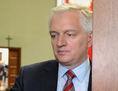 Miniatura: Gowin założy partię z Balcerowiczem?