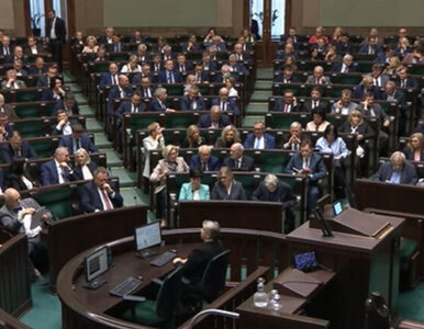 Miniatura: Nowe członkinie RPP. Sejm zdecydował