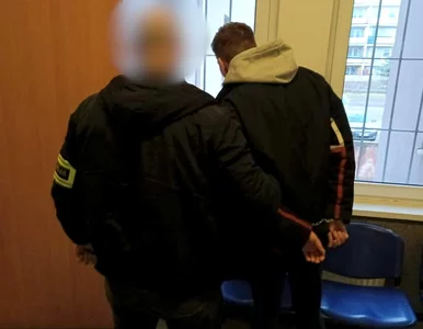 Miniatura: Patostreamer zatrzymany podczas transmisji...