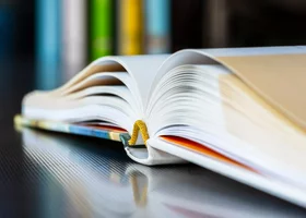 Miniatura: Prosty QUIZ z przysłów polskich. Wstyd ich...