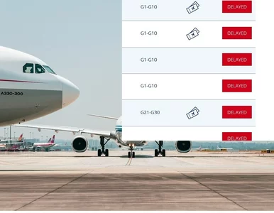 Miniatura: Lotnisko w Tel Awiwie działa, ale...