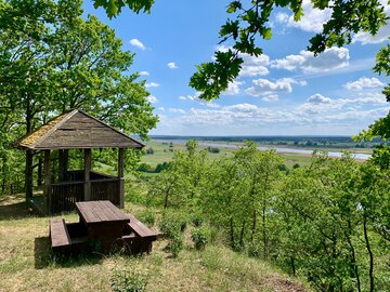 Rezerwat Bielinek