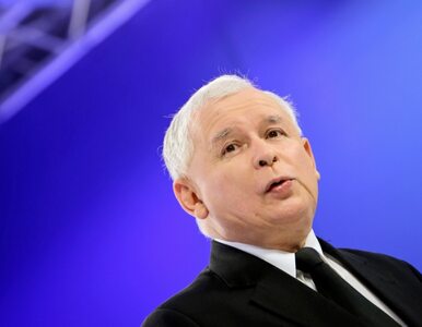 Miniatura: Kaczyński zaprzecza doniesieniom o...