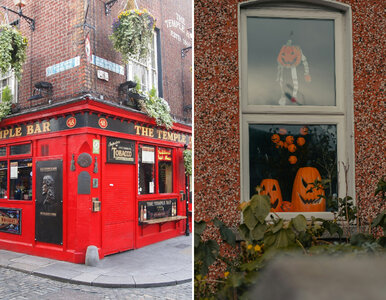 Miniatura: W tym kraju spędzisz wyjątkowe Halloween....