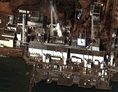 Miniatura: Znowu dym i obłoki pary nad Fukushimą