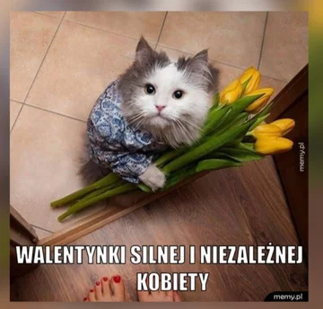 Memy na Walentynki 