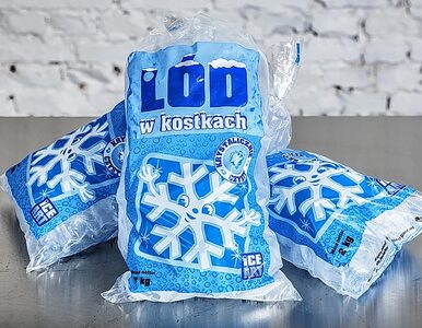 Miniatura: Polska fabryka lodu znana w całej Europie....