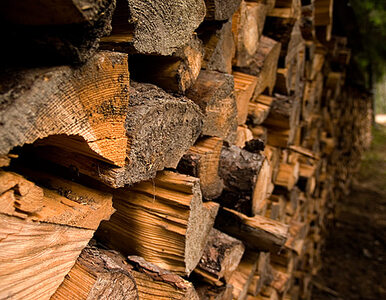 Miniatura: Lasy Państwowe chcą sprzedać więcej drewna