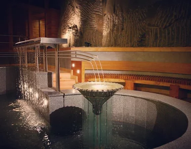 Miniatura: „The Guardian” napisał o polskim SPA....