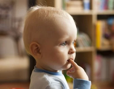 Miniatura: Fiskus odbiera dzieci