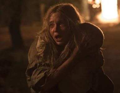 Miniatura: ORŁY 2017 rozdane!