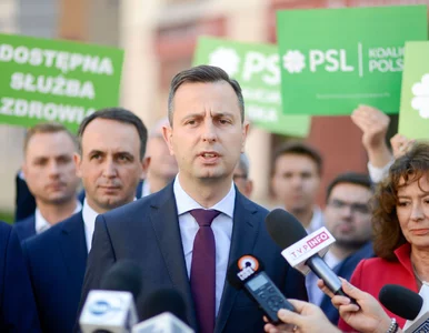 Miniatura: Już nie tylko zielona koniczynka. Ludowcy...