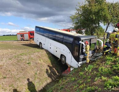 Miniatura: Kujawsko-Pomorskie. Autobus z...