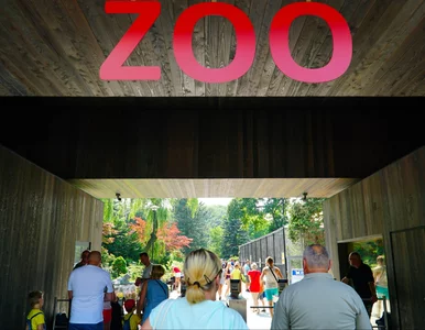 Miniatura: Nowe atrakcje w polskich zoo. Turyści je...