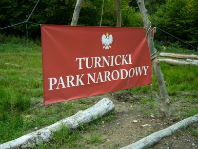 Leśnicy kontra aktywiści, czyli bój o (nie)istniejącą Puszczę Karpacką....
