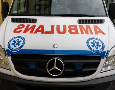 Miniatura: Potrącił busem 14-latka na pasach i...