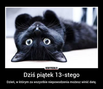 Memy z okazji piątku 13-stego 