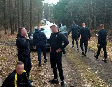 Miniatura: Kibole mieli bić się w lesie. Tłumaczyli...