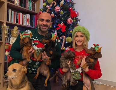 Miniatura: Znany influencer ubrał choinkę. Internauci...