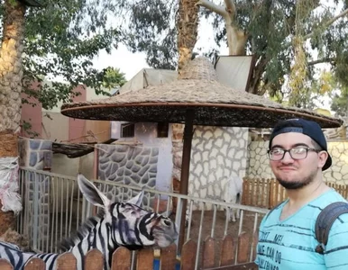 Miniatura: Zoo potrzebowało zebry, więc pomalowano...