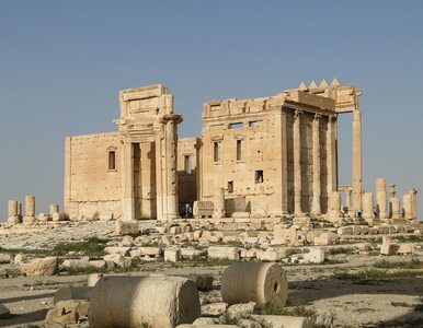 Miniatura: IS opuściło zabytki Palmyry. Rozbrojono...