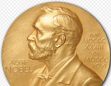 Miniatura: Nobel z chemii za odkrycie kwazikryształów