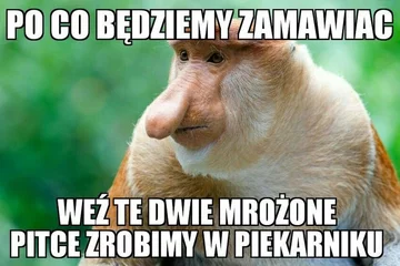 Mem z nosaczem sundajskim 