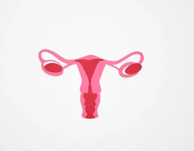 Miniatura: Rak endometrium. Co każda kobieta powinna...