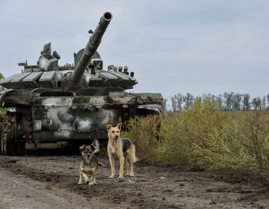 Miniatura: Kiedy koniec wojny w Ukrainie? Szef...