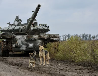 Miniatura: Kiedy koniec wojny w Ukrainie? Szef...