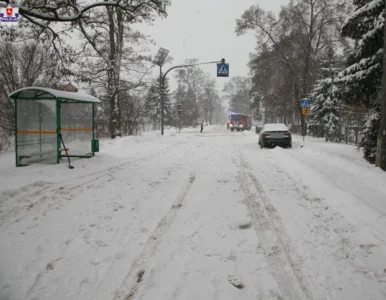 Miniatura: 14-latka potrącona na przejściu przy...