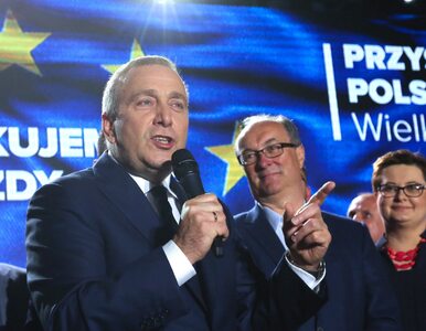Miniatura: PiS wygrywa w wyborach do PE. Prof....