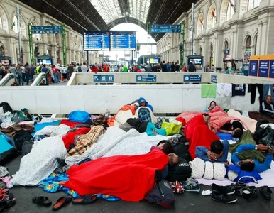 Miniatura: Niemiecki polityk o uchodźcach: To był...