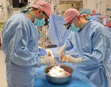 Miniatura: Transplantacja obu płuc u najstarszego...