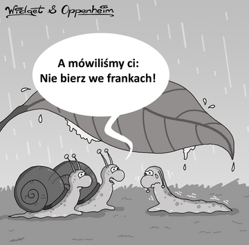 Oppenheim & Widget 8