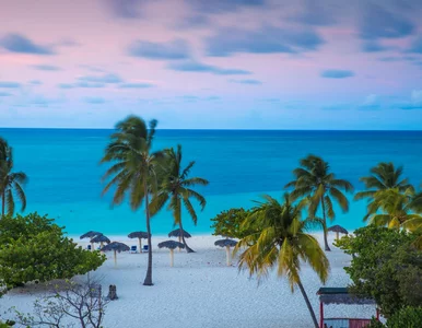 Miniatura: Tak zimno nie było jeszcze nigdy....