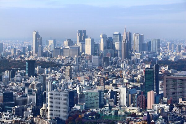 Miniatura: Reprezentacja Japonii