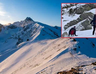 Miniatura: Turyści z małym dzieckiem dali „popis” w...