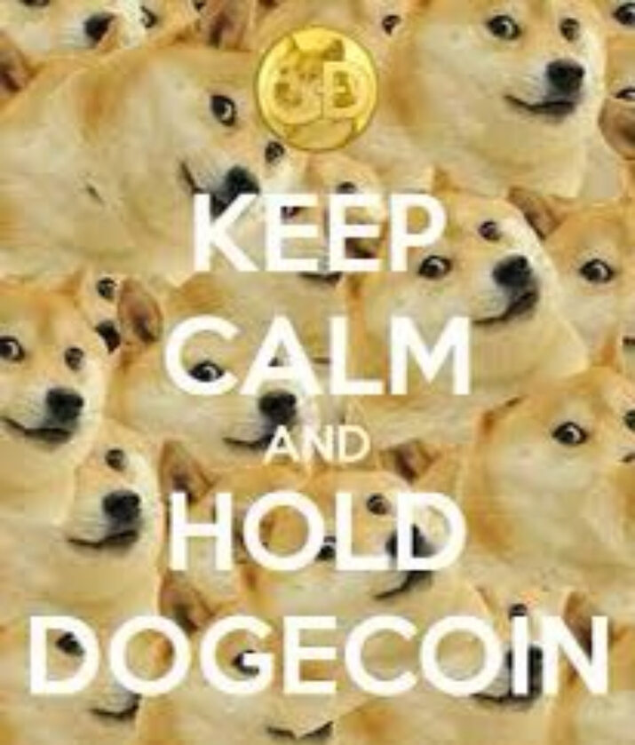 Mem podsumowujący zamieszanie z Dogecoin 