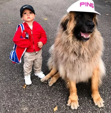 Lamont i jego przyjaciele 