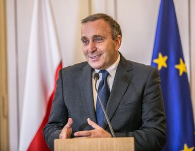 Miniatura: PiS uderza w nowego szefa Platformy...