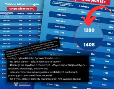 Miniatura: Burza wokół tablicy alimentacyjnej MS....