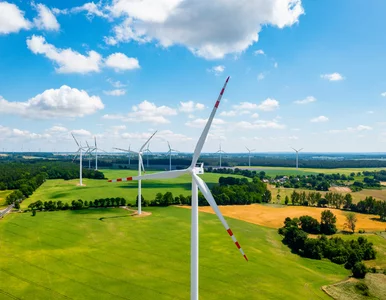 Miniatura: TAURON wspiera redukcję śladu węglowego firm