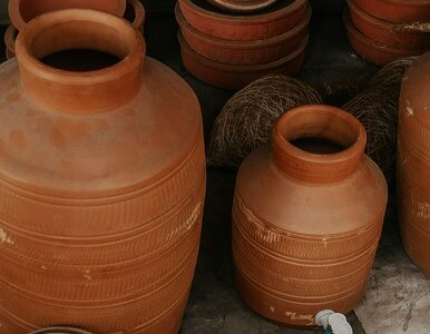 Miniatura: Wyglądały jak antyczne garnki. W środku...