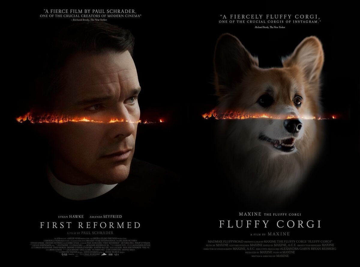 Plakat "First Reformed" i plakat "Fluffy Corgi" 