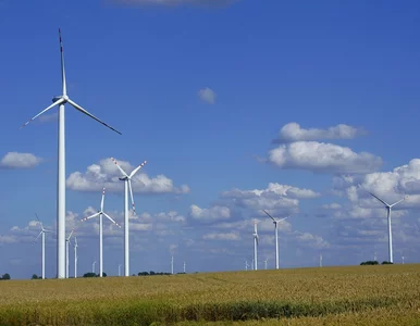 Miniatura: Staną wiatraki, ruszą kopalnie?...