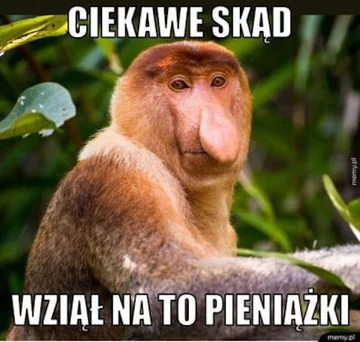 Wisła Kraków czeka na przelew - mem 