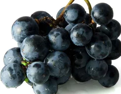 Miniatura: Państwowa Wyższa Szkoła Zawodowa będzie...